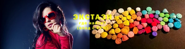стаф Алзамай