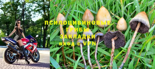 стаф Алзамай