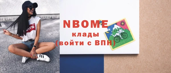стаф Алзамай