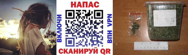 Марихуана ГИДРОПОН Волгоград